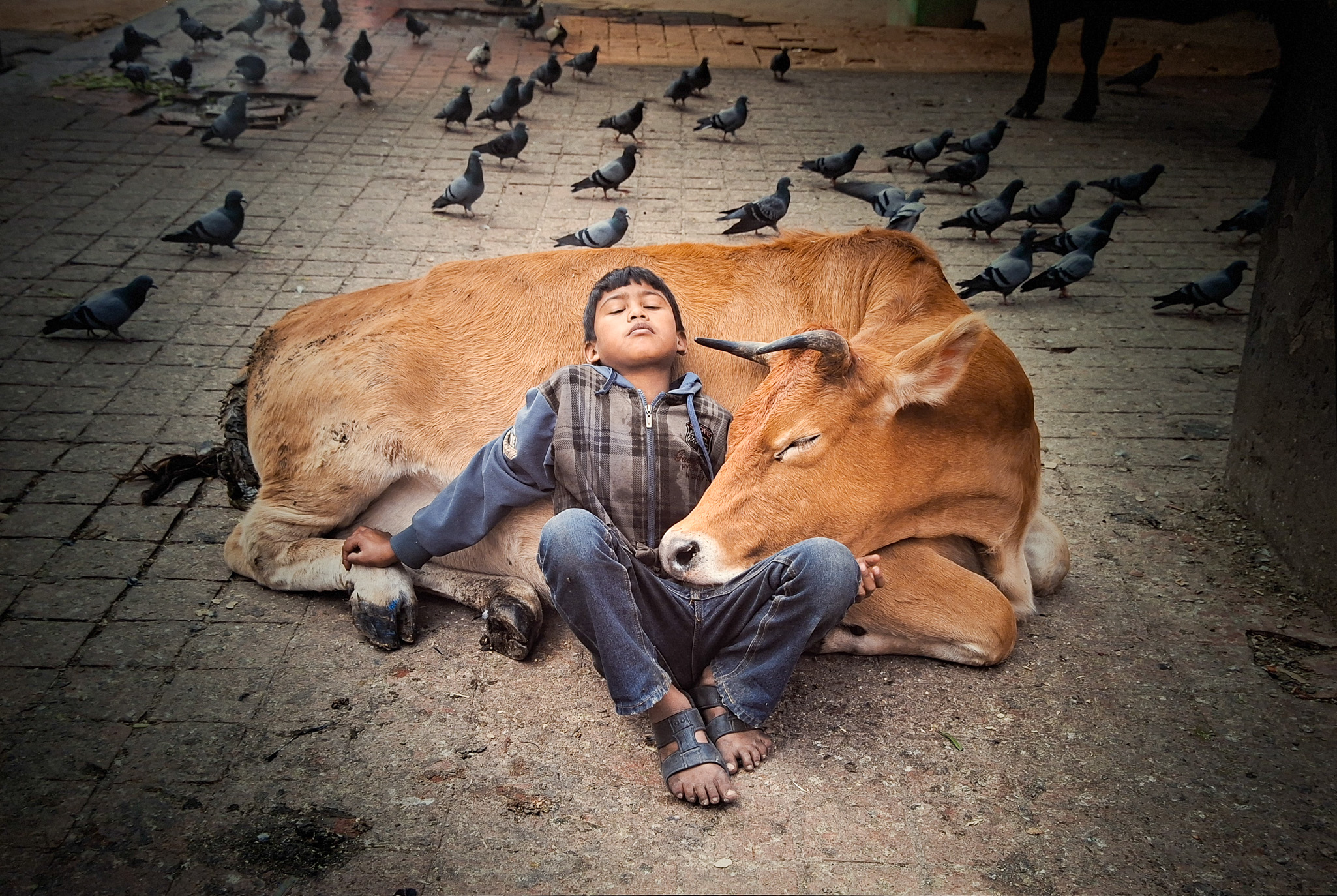 Móvil 20260613 Steve McCurry 110